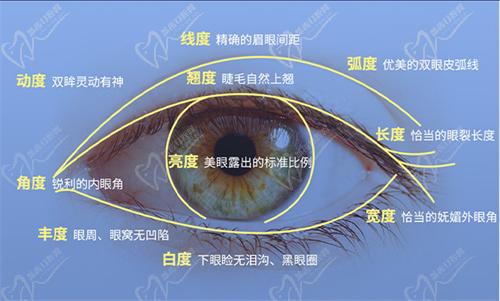 杜園園雙眼皮修復技術怎么樣