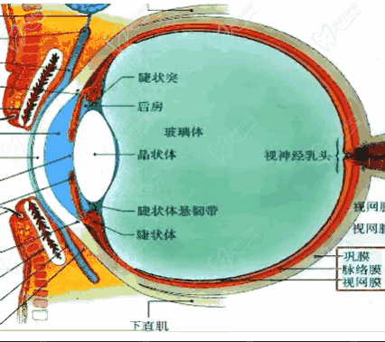 王樂今醫(yī)生口碑評價和反饋